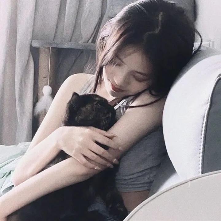 猫和老鼠：雪人国大冒险