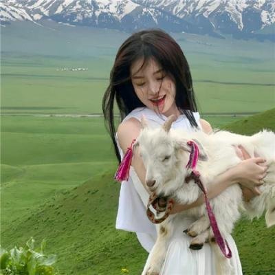 我和教授“羊粪豆”
